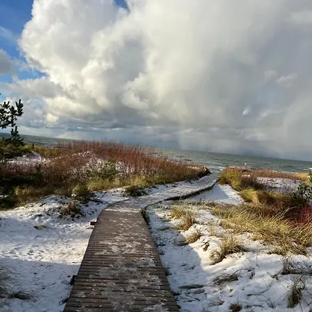 Neptuno Palanga